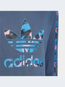 Худи и свитшоты Adidas модель HK0283 Фото