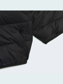 Куртки та дублянки Adidas модель H25221 Фото