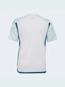 Футболки і поло Adidas модель HD3870 Фото