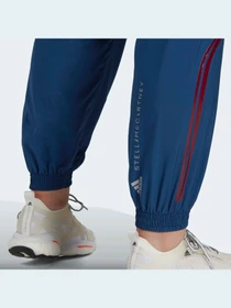Брюки Adidas модель HK0483 Фото