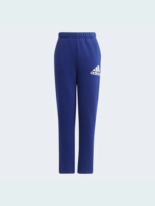 Брюки Adidas модель H10161 Фото