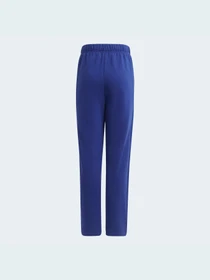 Брюки Adidas модель H10161 Фото