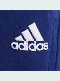 Брюки Adidas модель H10161 Фото