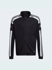 Худи и свитшоты Adidas модель GK9542 Фото