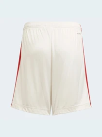 Шорты Adidas модель GR3771 Фото