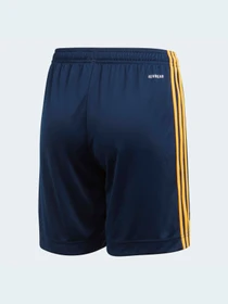 Шорты Adidas модель FI6243 Фото