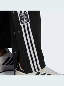 Брюки Adidas Adicolor модель HN6098 Фото