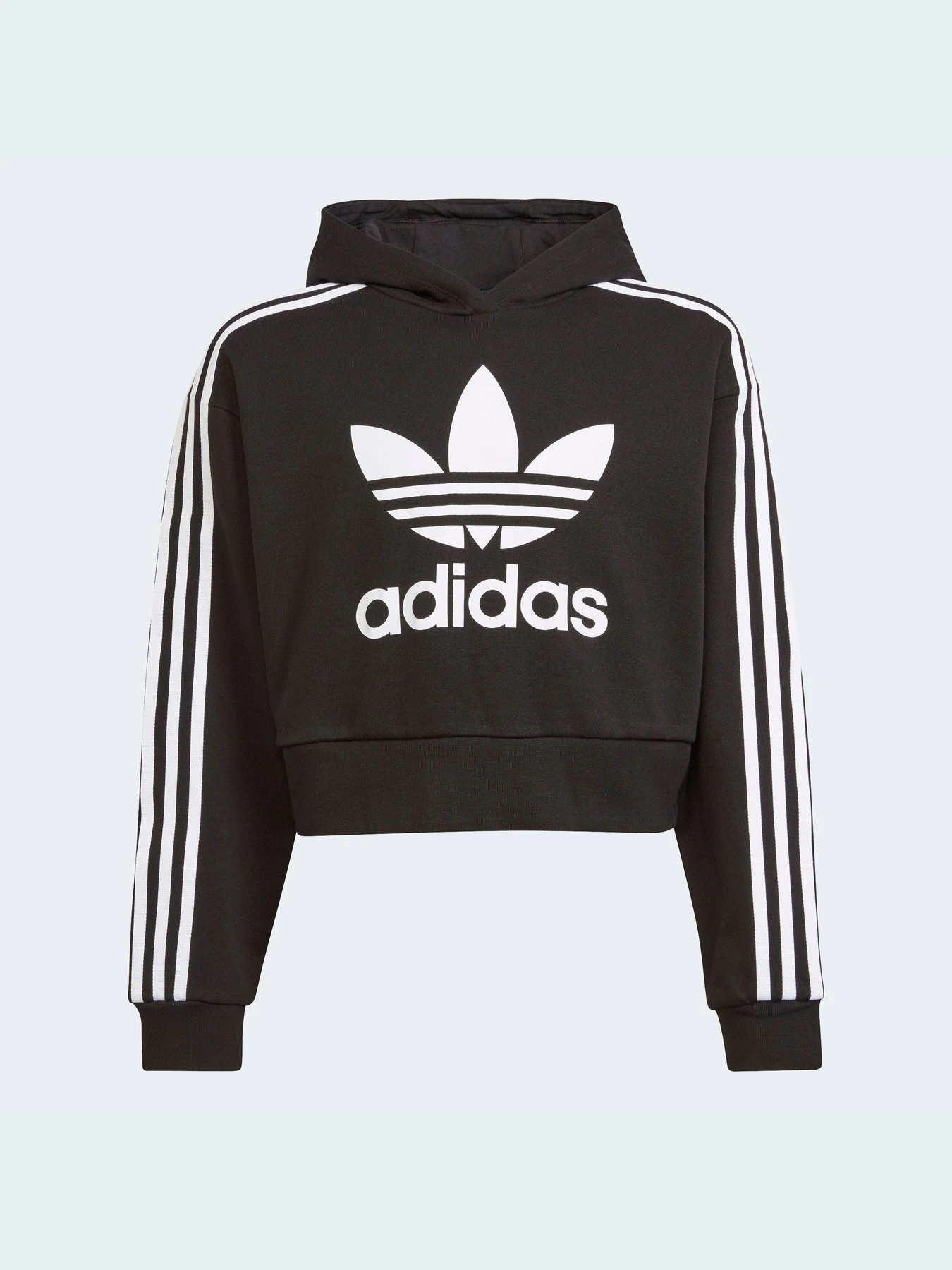 Худі та світшоти Adidas Adicolor модель H32337 Фото