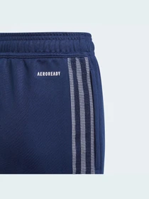 Штани Adidas Tiro модель GK9666 Фото