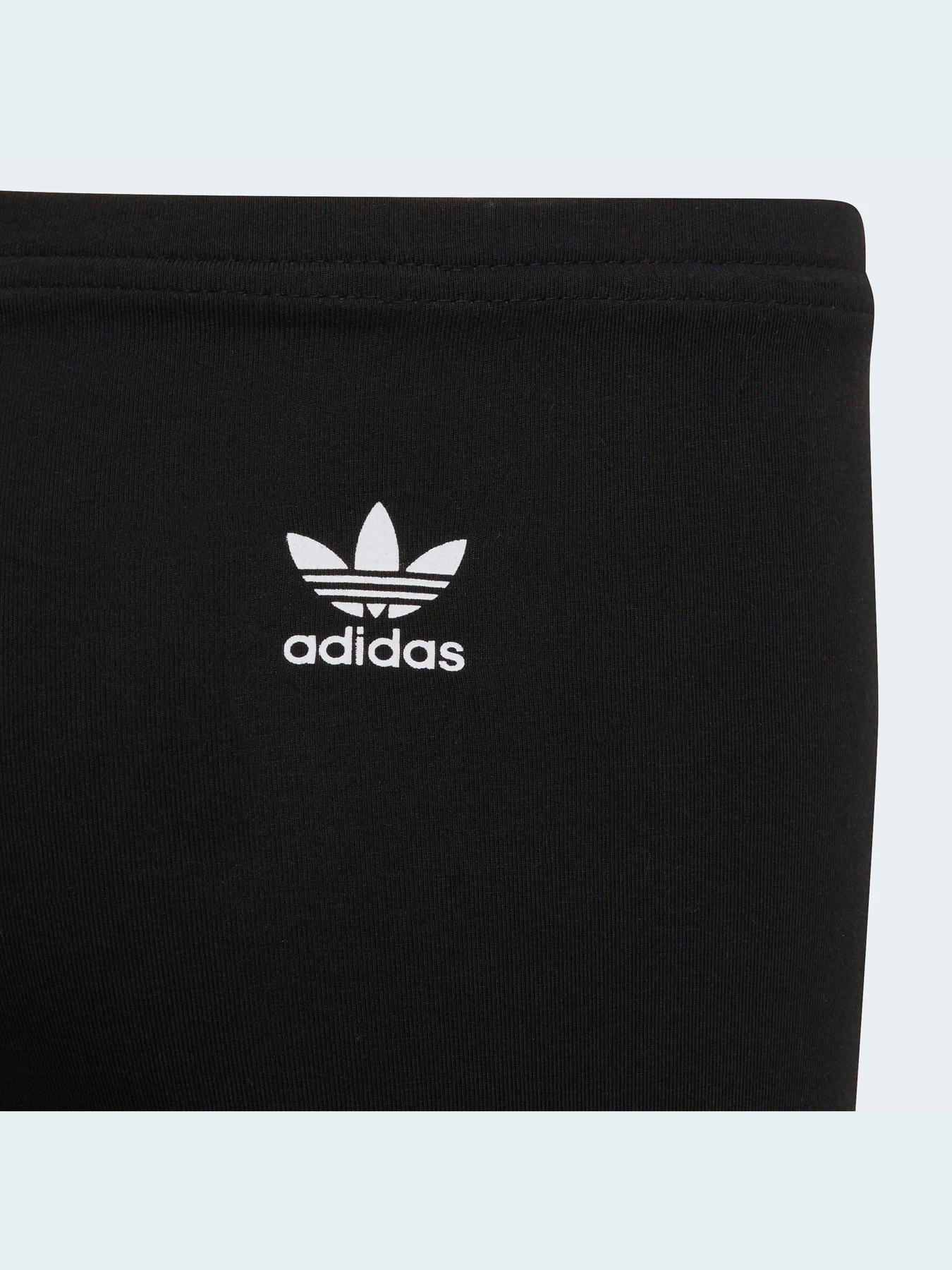 Брюки Adidas Adicolor модель HE4777 Фото