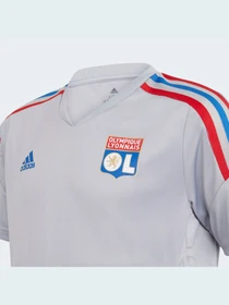Футболки и поло Adidas модель HC1016 Фото