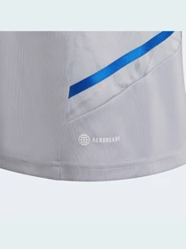 Футболки и поло Adidas модель HC1016 Фото