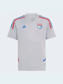 Футболки и поло Adidas модель HC1016 Фото