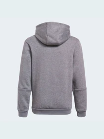 Худи и свитшоты Adidas Tiro модель GP8803 Фото