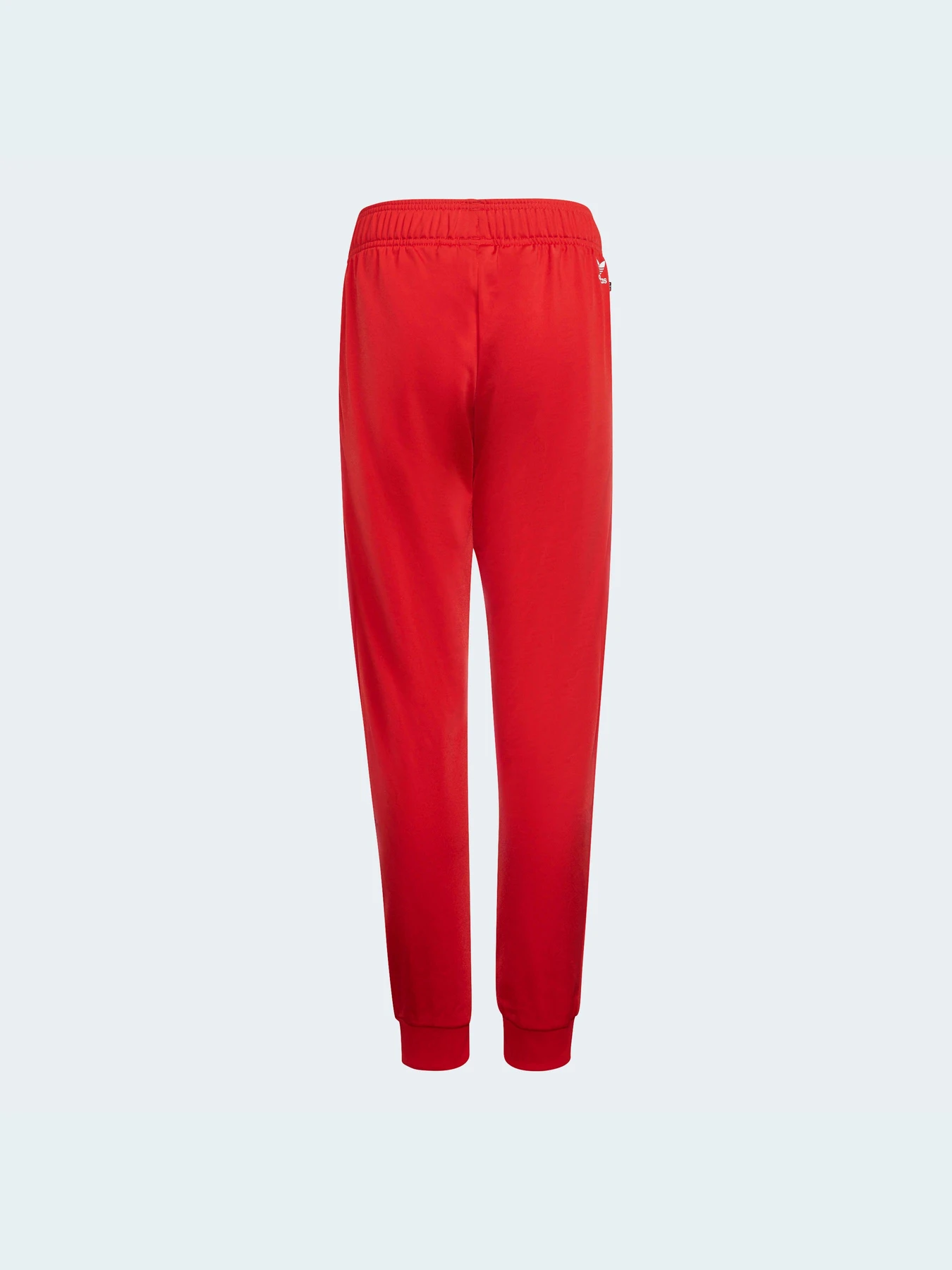 Брюки Adidas Adicolor модель HB9467 Фото