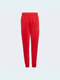 Брюки Adidas Adicolor модель HB9467 Фото