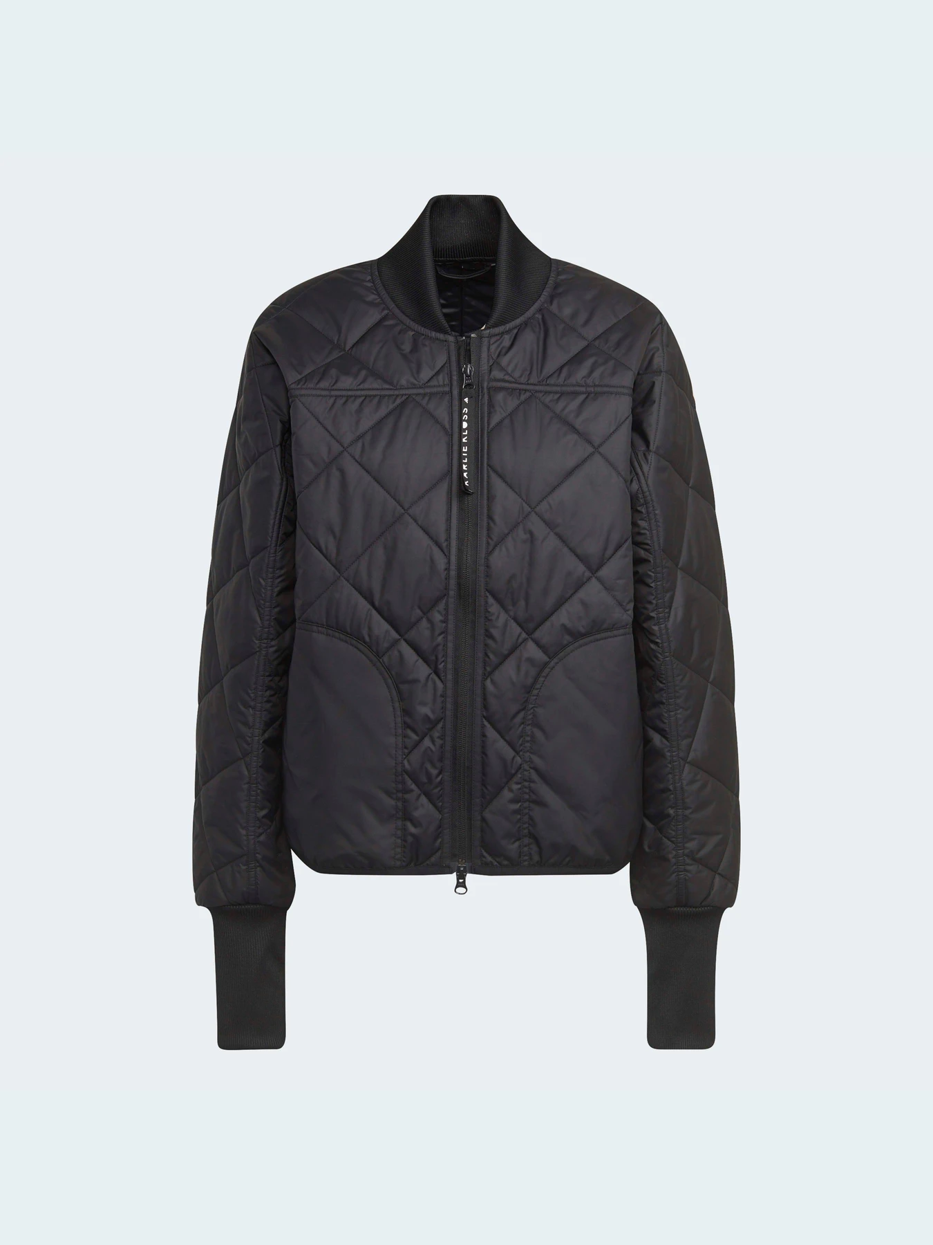 Куртки и дубленки Adidas модель GT5988 Фото