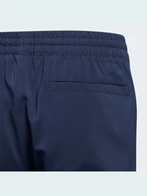 Брюки Adidas модель GQ2473 Фото