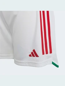 Шорты Adidas модель HE8860 Фото