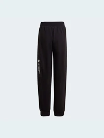 Брюки Adidas модель GT6973 Фото