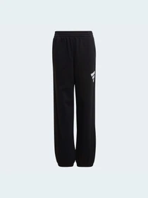 Штани Adidas модель HA3918 Фото