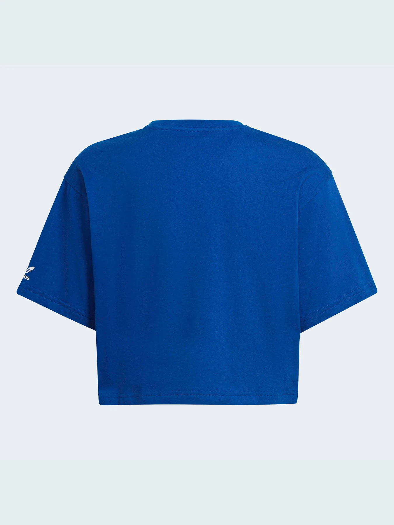 Футболки и поло Adidas Adicolor модель HE4775 Футболки и поло Adidas Adicolor модель HE4775 Фото