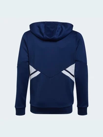 Худі та світшоти Adidas Condivo модель HG6316 Фото