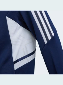 Худі та світшоти Adidas Condivo модель HG6316 Фото
