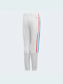 Штани Adidas модель GN7488 Фото