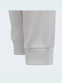 Штани Adidas модель GN7488 Фото