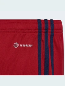 Шорты Adidas модель H58245 Фото