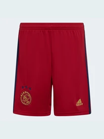 Шорты Adidas модель H58245 Фото