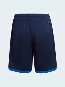 Шорты Adidas модель HE6627 Фото
