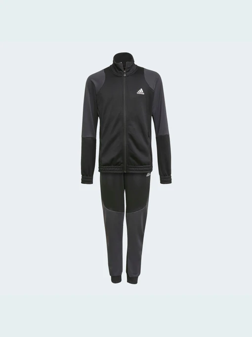 Костюмы Adidas Graphics модель GT6911 Фото