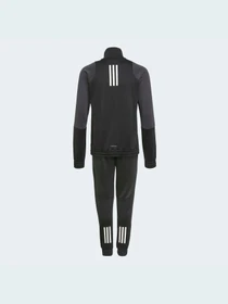 Костюмы Adidas Graphics модель GT6911 Фото