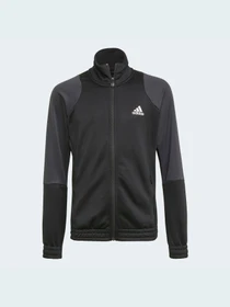 Костюмы Adidas Graphics модель GT6911 Фото