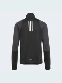 Костюмы Adidas Graphics модель GT6911 Фото