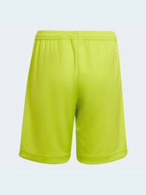 Шорты Adidas модель HC5065 Фото