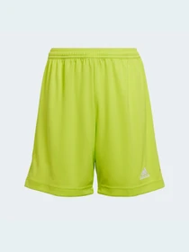 Шорты Adidas модель HC5065 Фото