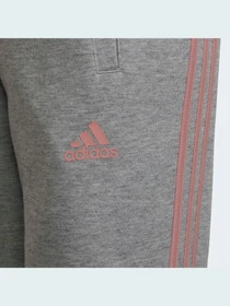 Брюки Adidas 3 Stripes модель HD4362 Фото