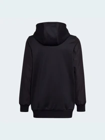 Худи и свитшоты Adidas модель HG6778 Фото