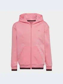 Худи и свитшоты Adidas модель HN6185 Фото