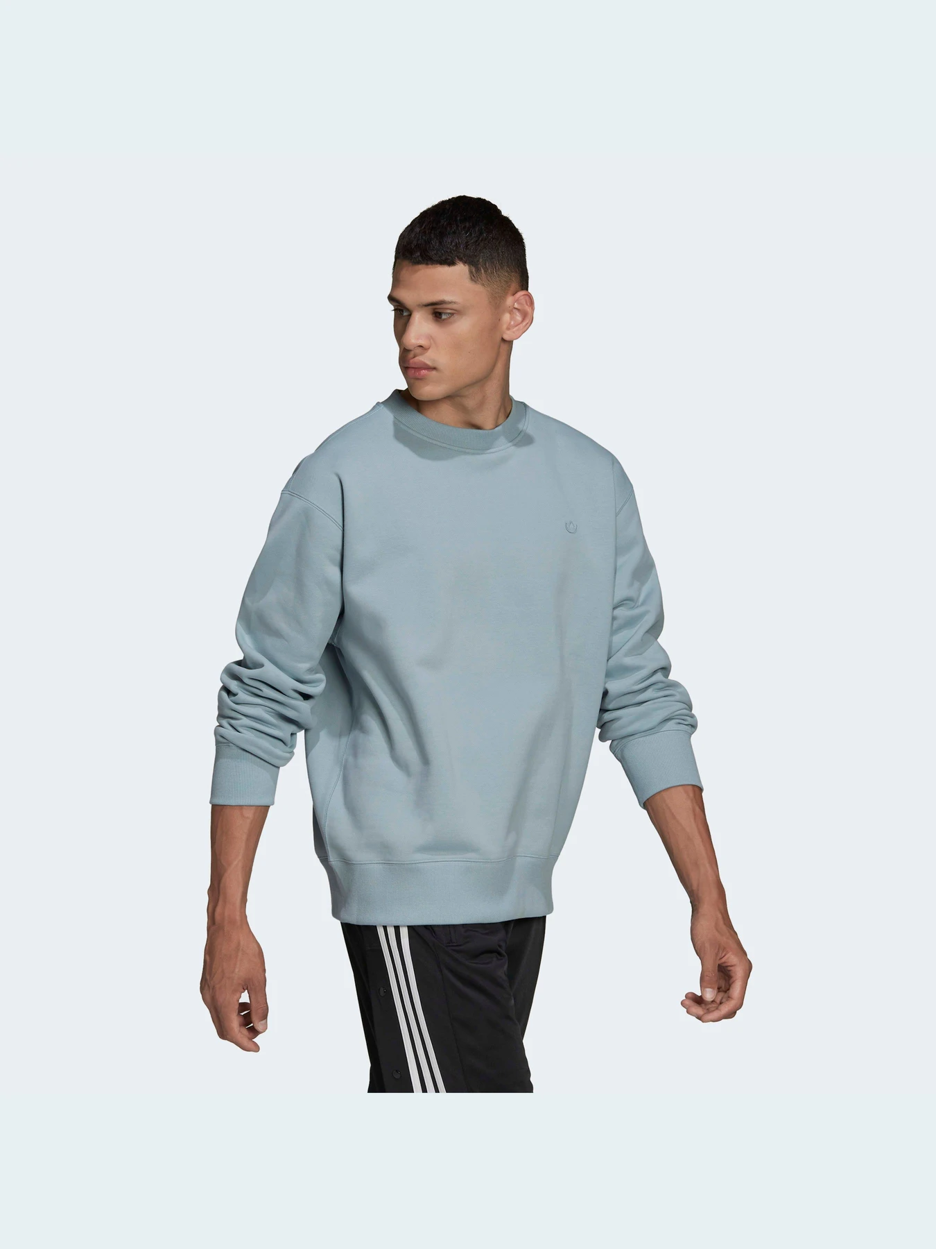 Худі та світшоти Adidas Adicolor модель HC4527 Фото