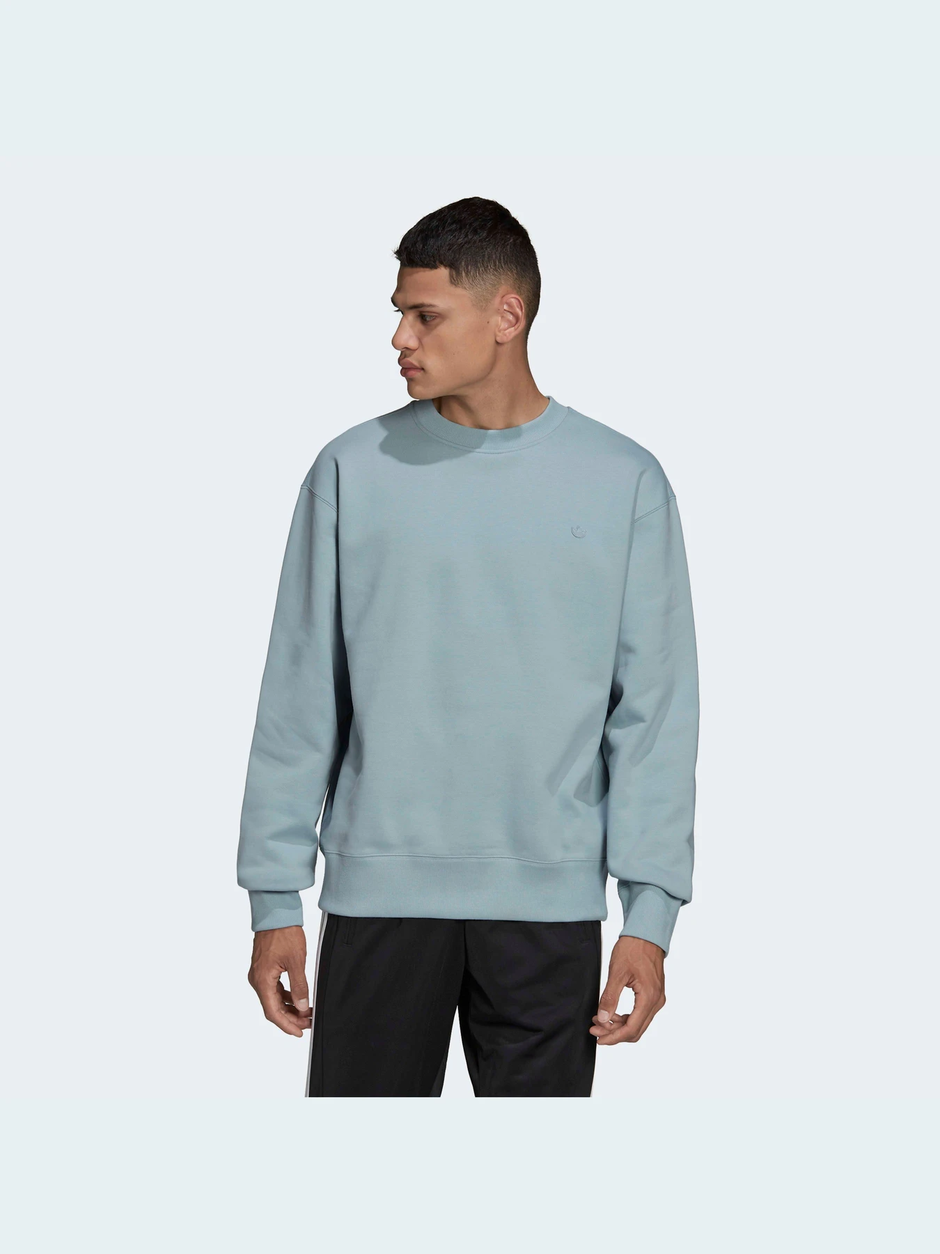 Худі та світшоти Adidas Adicolor модель HC4527 Фото