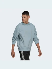 Худі та світшоти Adidas Adicolor модель HC4527 Фото