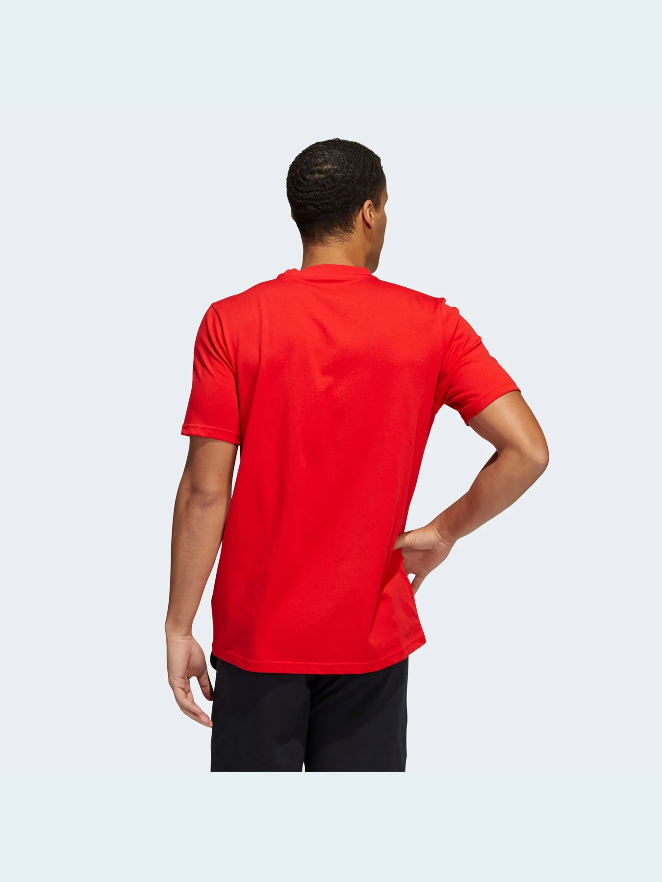 Футболки і поло Adidas Graphics модель HE4829 Футболки і поло Adidas Graphics модель HE4829 Фото