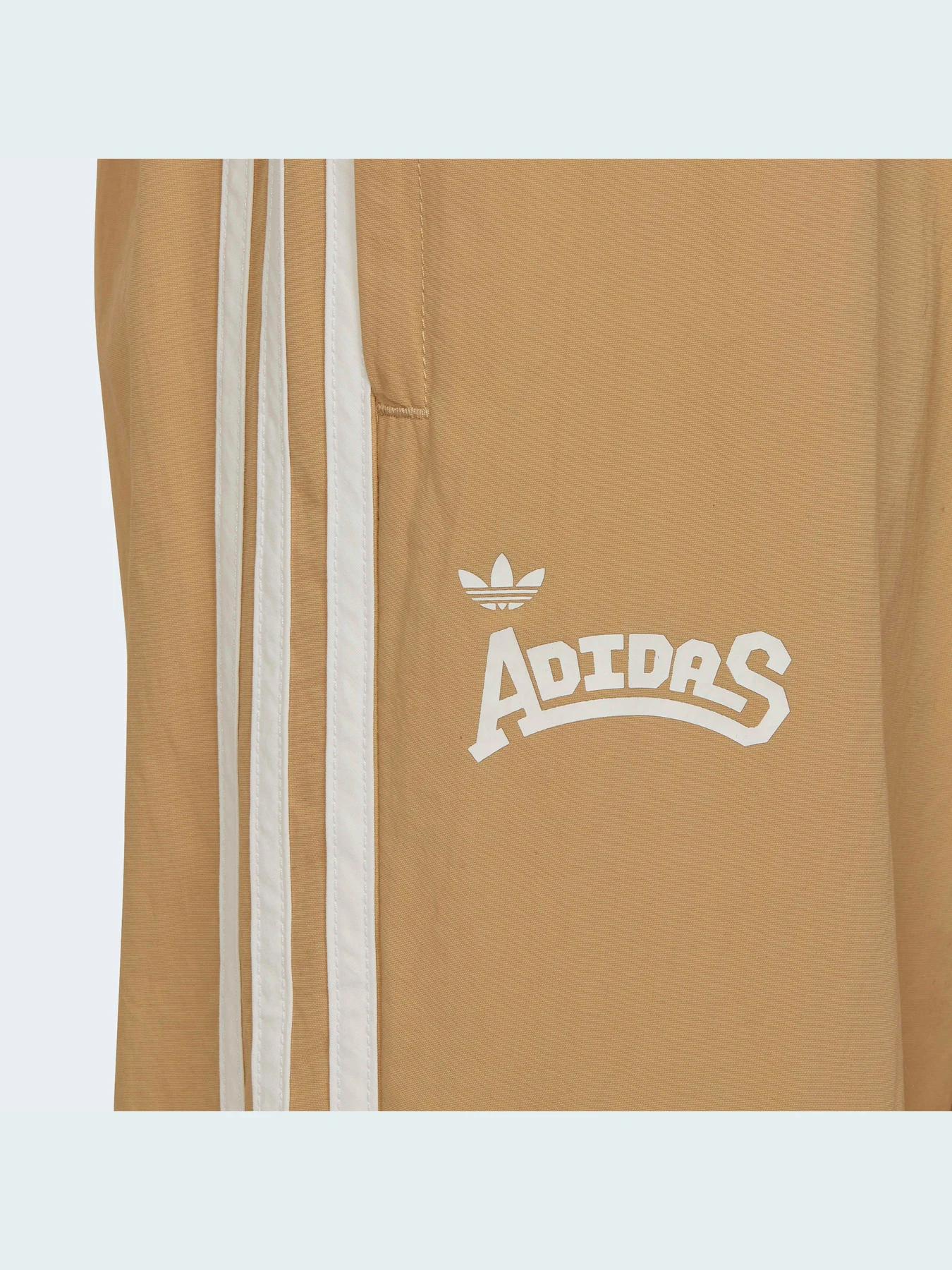 Брюки Adidas Graphics модель HC4541 Фото