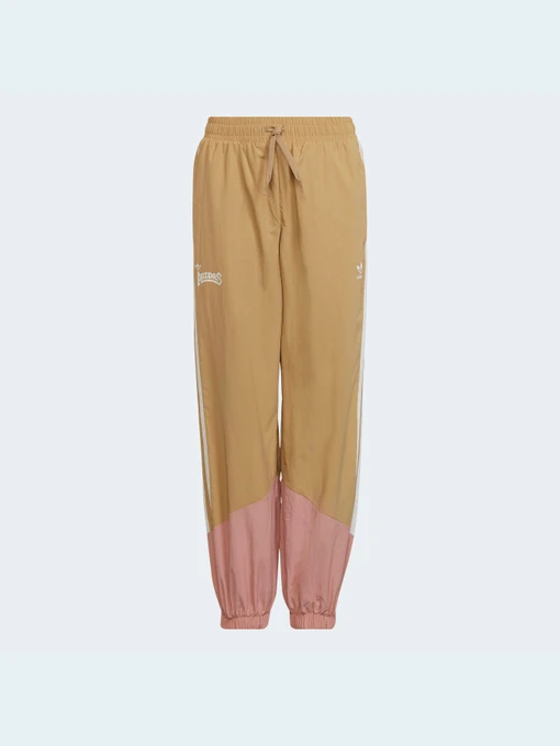 Брюки Adidas Graphics модель HC4541 Фото