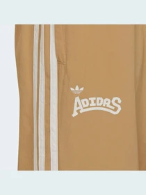 Брюки Adidas Graphics модель HC4541 Фото