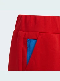 Брюки Adidas модель H65357 Фото